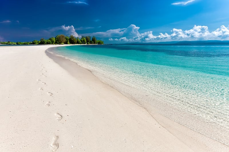 Island Paradise Wedding